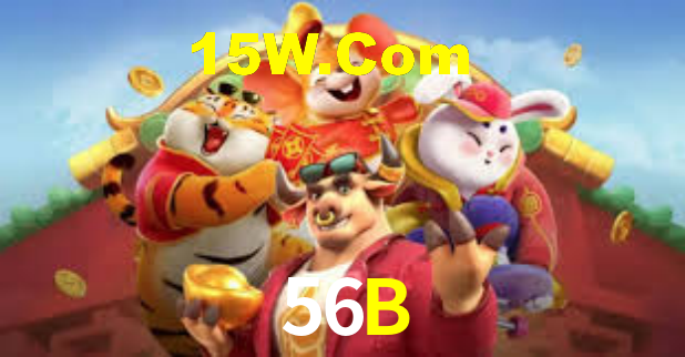56B App Interface